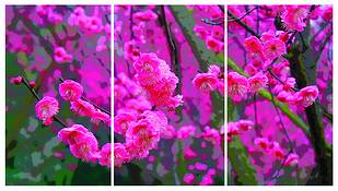 Japanese_um__29