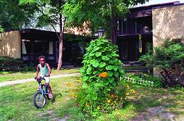 Boy_on_bike_vine_on_lamp