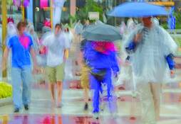Rainy_day_impressions_2