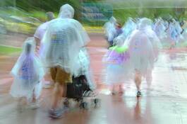 Rainy_day_impressions_5