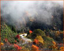 Autumn_drive