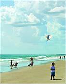 Go_fly_a_kite