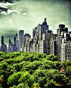 Central_park