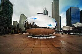 The_bean_1