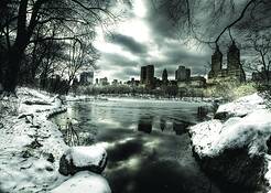 Central_park_in_winter