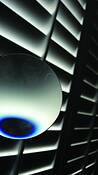 Blue_eye_ball