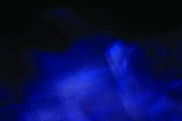 Blue_deniro