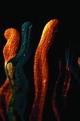 Abstract__23