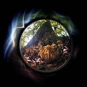 Golden_mushrooms