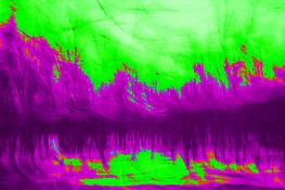 Winter_woods