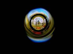 Organique_4