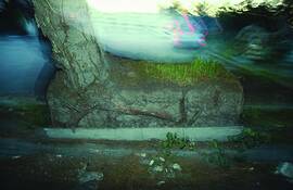 Choreophotograph_1