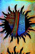 Black_sunburst
