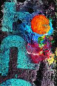 Street_art_6