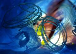 Virtual_biology_1