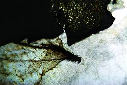 Potpourri_4
