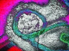 Figure_eight