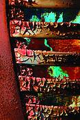 Rust_vision_1695