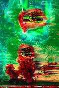 Rust_vision_759