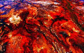 Kepler_springs_2