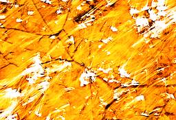 Autumn_movement_eight