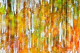Autumn_movement_one