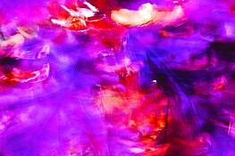 Autumn_movement_six