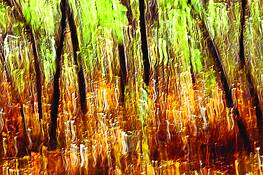 Autumn_movement_two