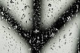 Peace_drops