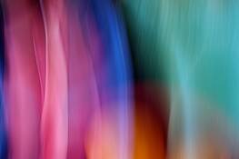 Flower_bowls___118