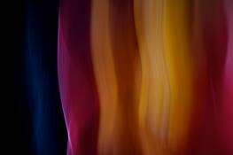 Flower_bowls___151