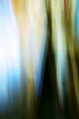 Object__11