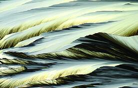 Adrift_acetaminophen_crystal