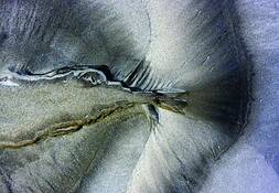 Sensual_sand