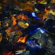 Untitled_10