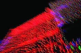 Glow_worms