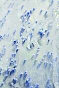 Untitled_5