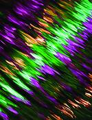 Purple_yellow_green