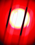 White_pink_yellow_on_red