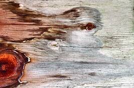Plywood__23