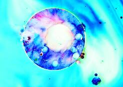 Orb