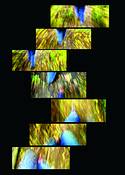 Untitled_10