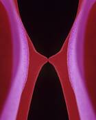 Untitled_4