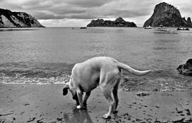 Ibiza_beach