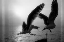 Move_