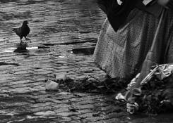 Sweeper_lady
