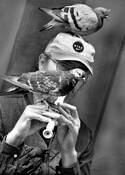 Three_birds_of_the_feather