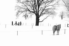 Long_winter_2