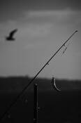 Untitled_14