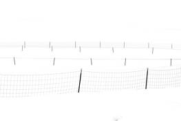 Long_winter_1